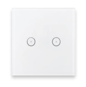 AMIKO HOME-wall switch for two devices